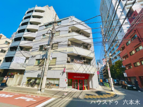 概観画像