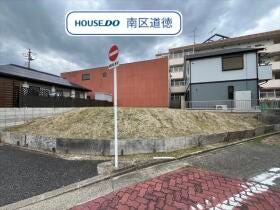 概観画像