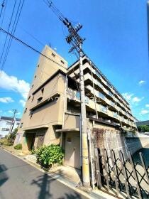 概観画像