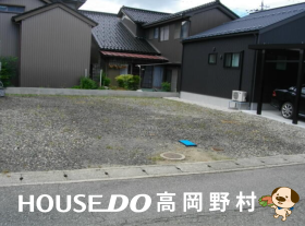 概観画像