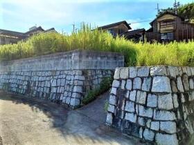 概観画像