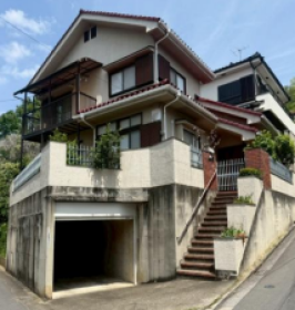 概観画像