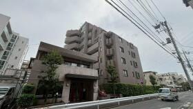 概観画像