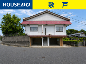 概観画像