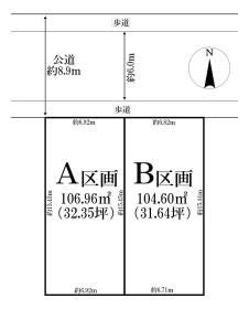概観画像