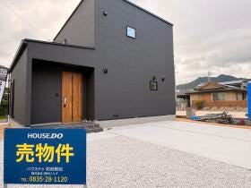 概観画像