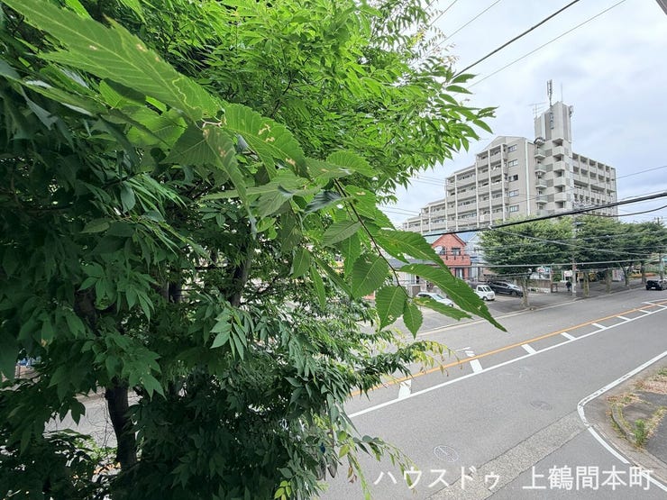 大通り側の窓を開けるとみどりと、通りが見えます。
