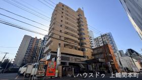 概観画像