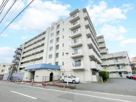概観画像