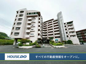 概観画像