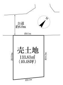 概観画像