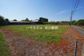概観画像