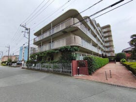 概観画像