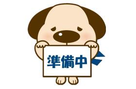 概観画像