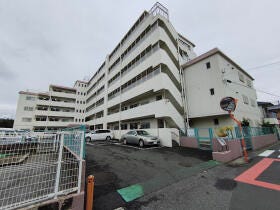 概観画像