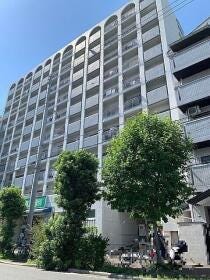 概観画像