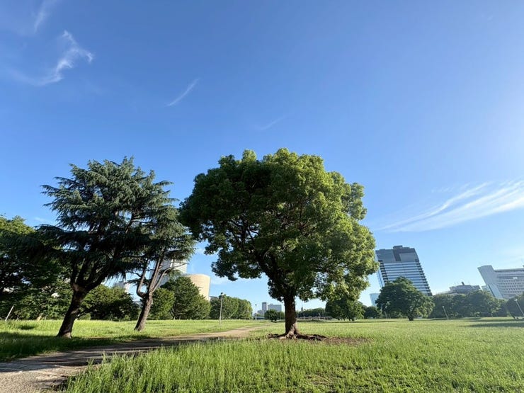 なノにわや大阪城公園が徒歩圏内。都心の利便性と豊かな緑を享受できる住環境です