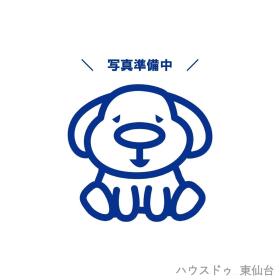 概観画像