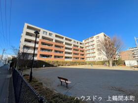 概観画像