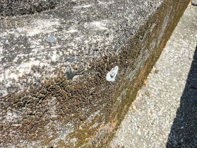 ★横浜小学校区★