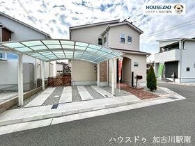 概観画像