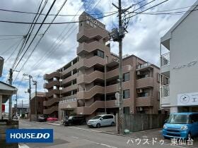 概観画像