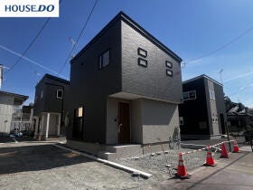 概観画像