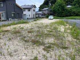 概観画像