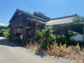 概観画像