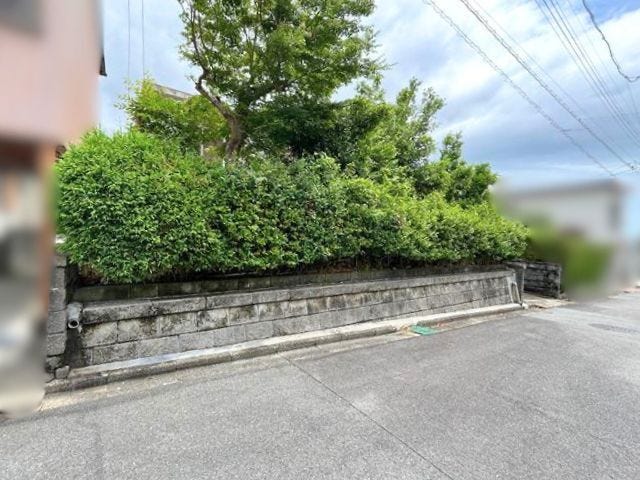 道路面より一段上がった敷地で、視線が気になりにくい住環境です。(2026年6月6日撮影)