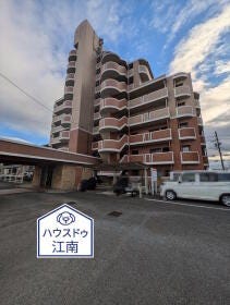 概観画像