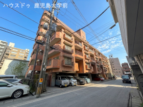 概観画像