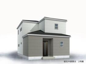 概観画像