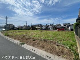 概観画像