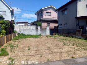 概観画像