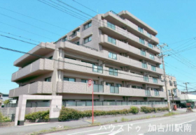 概観画像