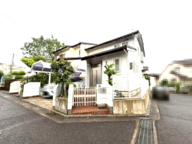 概観画像
