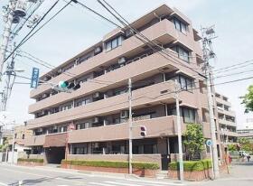 概観画像