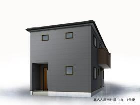 概観画像