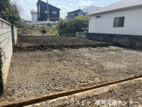 概観画像