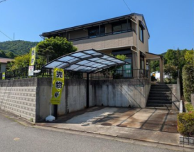 概観画像