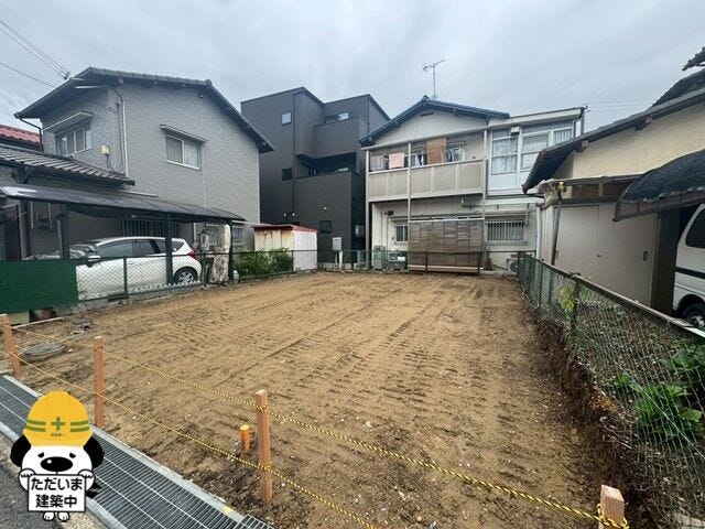 2026年6月撮影