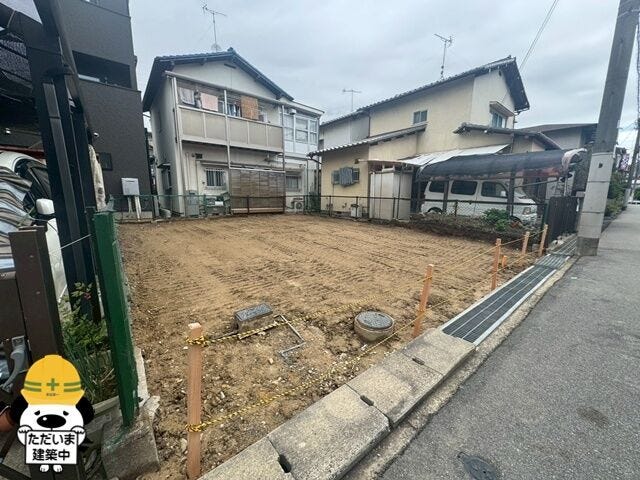 2026年6月撮影