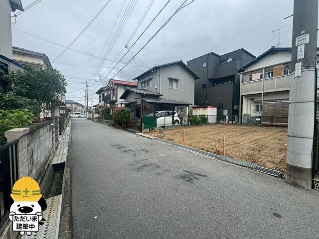 2026年6月撮影