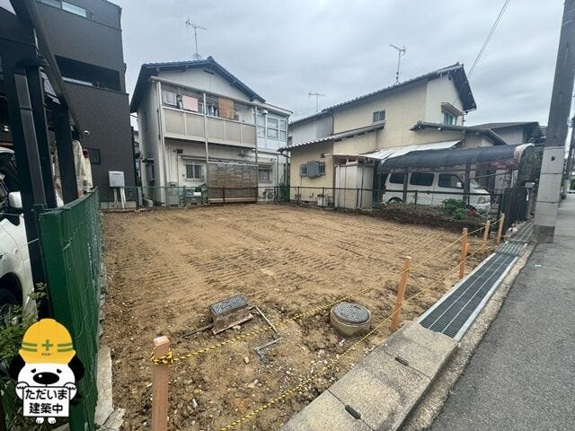2026年6月撮影