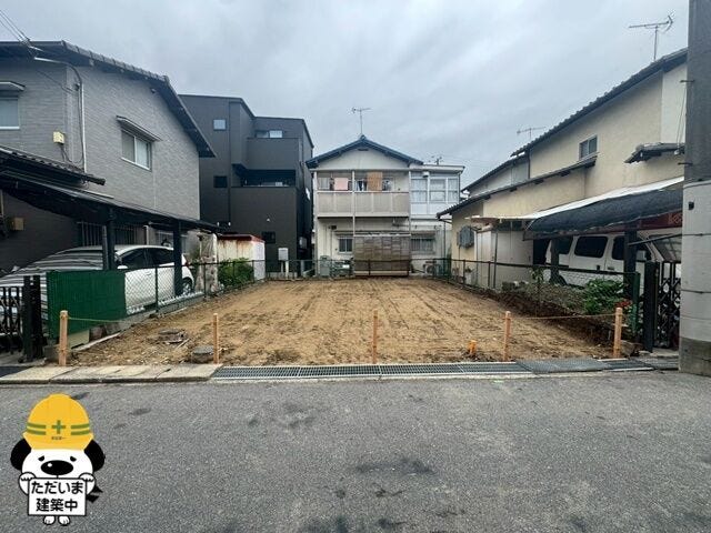 2026年6月撮影