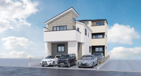 概観画像