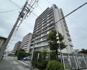 概観画像