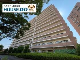 概観画像