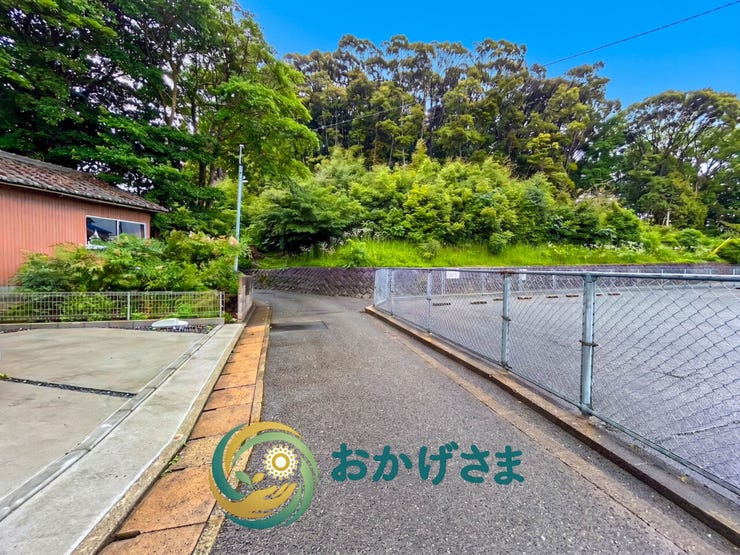 物件の前にのびる、豊かな緑に囲まれた見通しの良いアスファルト舗装された前面道路です。